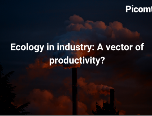 Ecology in industry: A vector of productivity?