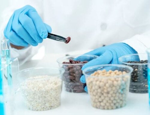 Traçabilité Alimentaire : Guide Complet pour Sécuriser votre Production [2025]