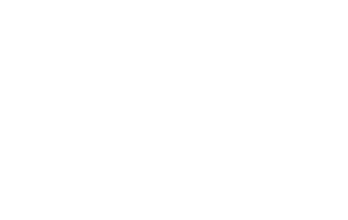 logo roquette blanc