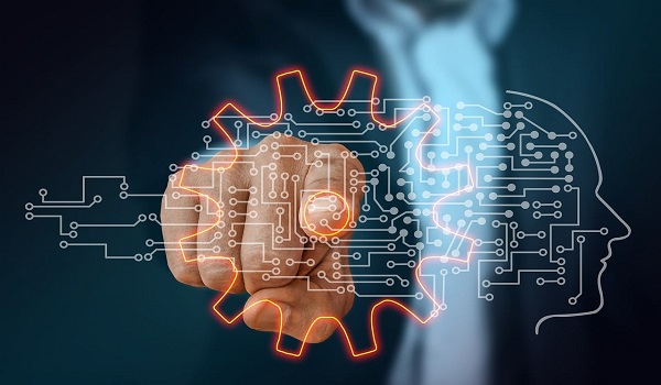 digitaliser les processus internes rapidement